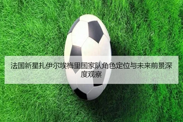fa-guo-xin-xing-zha-yi-er-ai-mei-li-guo-jia-dui-jue-se-ding-wei-yu-wei-lai-qian-jing-shen-du-guan-cha-2-901.jpg